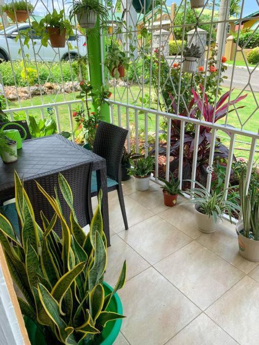 Cozy Villa Mammee Bay Ngoại thất bức ảnh